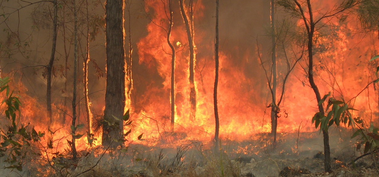 Bushfire image from Wikimedia Commons