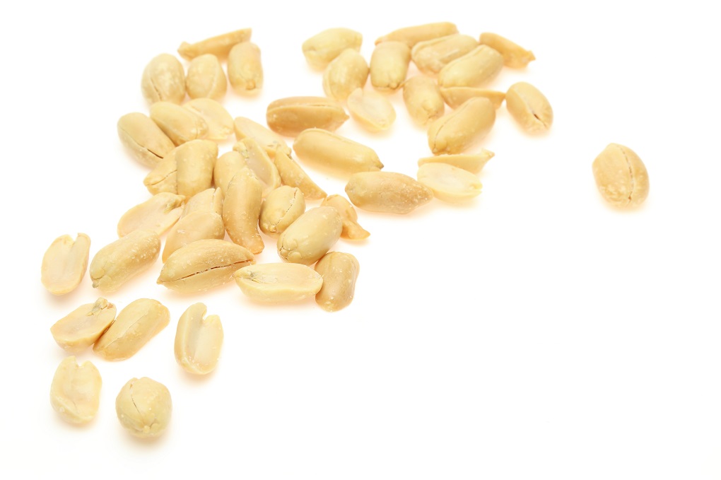 Peanut in a white background